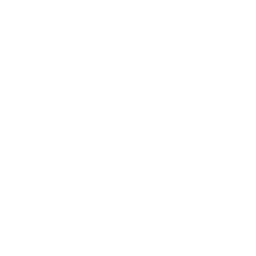 Mohamed Osama